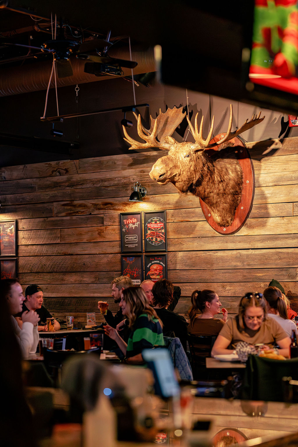 Moose's bar interior